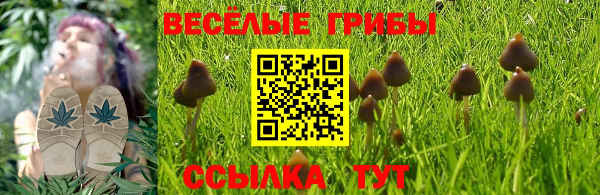 Галлюциногенные грибы MAGIC MUSHROOMS Моршанск